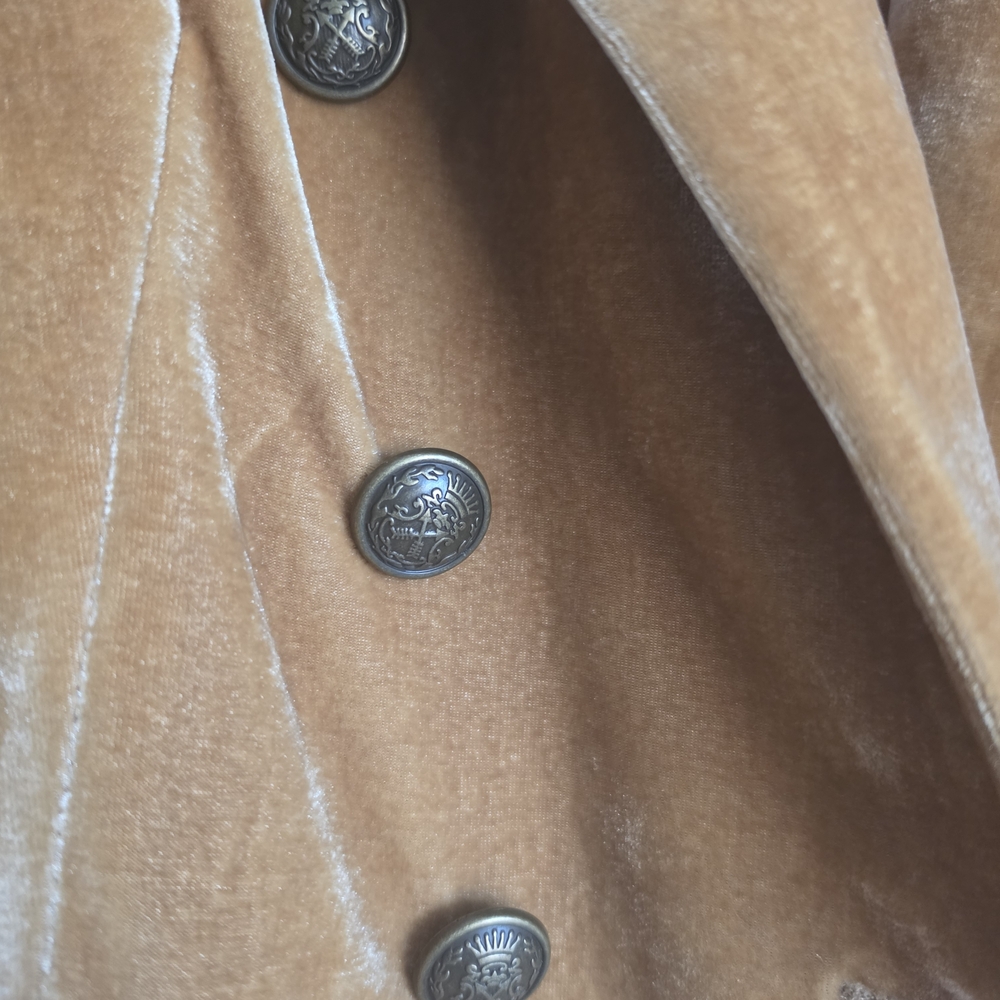 Rachel Zoe Velvet Blazer - Picture 4 of 9